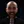 Podcast Host